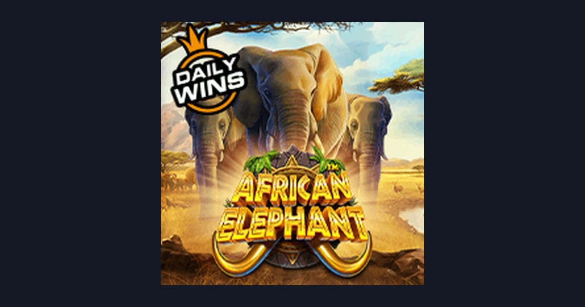 Rahasia Pola Spin Gacor di Slot African Elephant Pragmatic Play