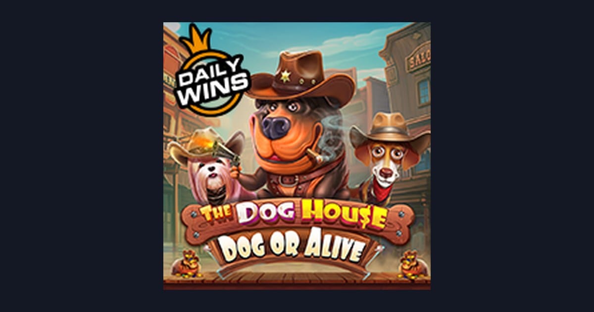 Nikmati Serunya The Dog House Dog Or Alive dengan Deposit Dana Ovo Gopay Mudah